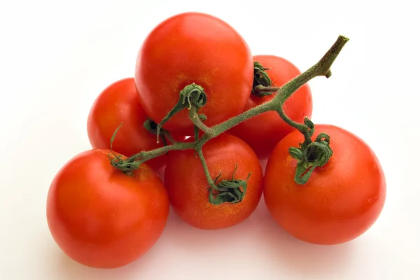 Red tomatoes on a branch over white — Stock Photo, Image