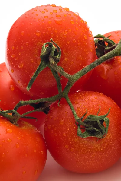 Red tomatoes with water drops — Stock Photo, Image