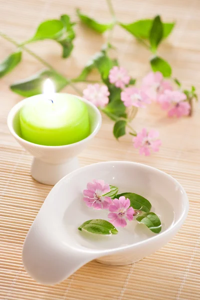 Small flowers in bowl — Stock Photo, Image