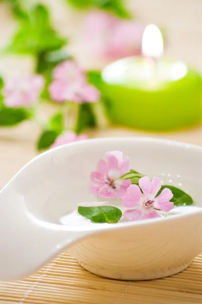 Little bowl and flowers — Stock Photo, Image