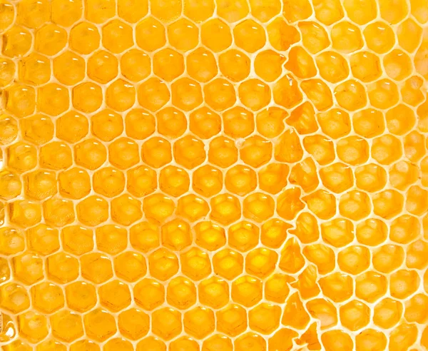 Yellow honeycomb — Stock Photo, Image