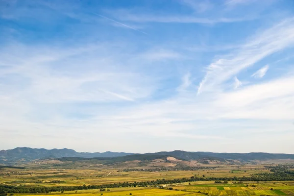 stock image Summer landscape