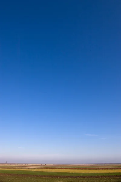 Klar blå himmel lodret - Stock-foto