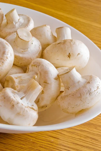 Raw button mushrooms on white bowl — Stock Photo, Image
