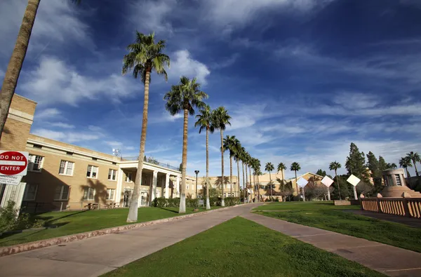 ASU Campus palm walk — Stock Photo, Image