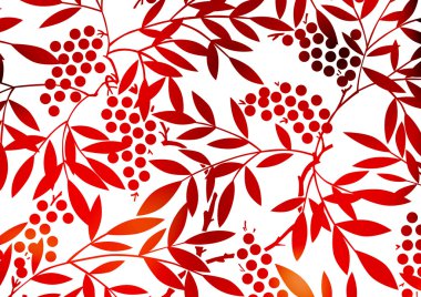 Grafik deseni