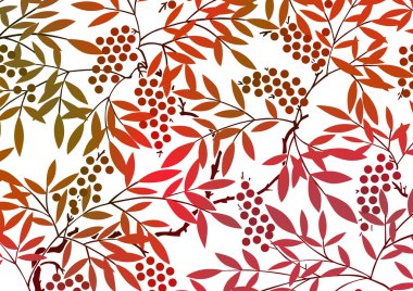 Grafik deseni