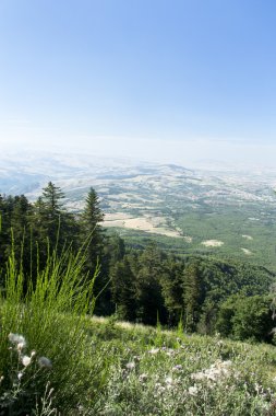 Akbaba Dağı görüntülemek