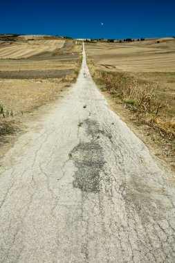 Tarlalardan geçen yol