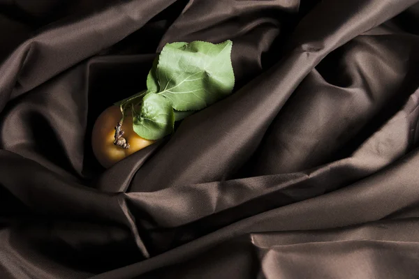 Абрикос в коричневом атласе — стоковое фото
