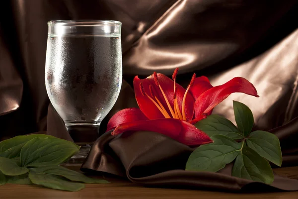 Kırmızı lily ile su — Stok fotoğraf