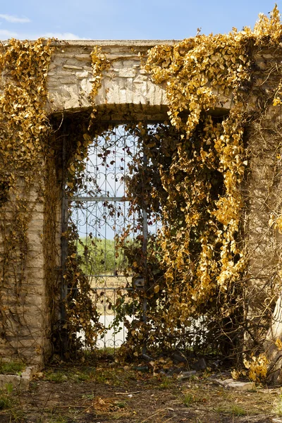 stock image Gate with Yellow Leaves