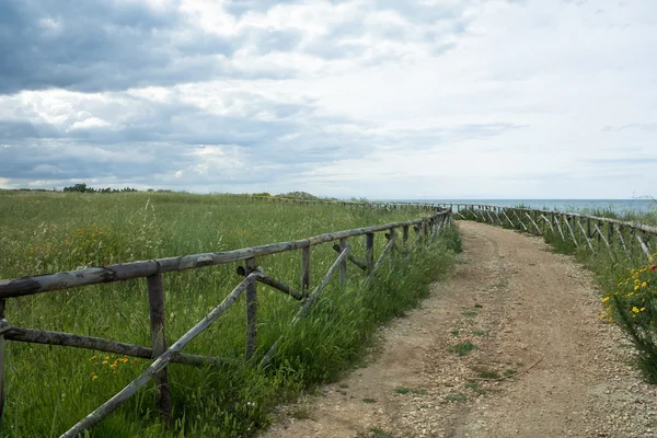 Köy yolunda çit ile — Stok fotoğraf