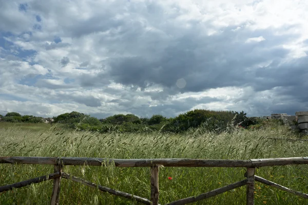 Травяное поле с деревянным забором — стоковое фото