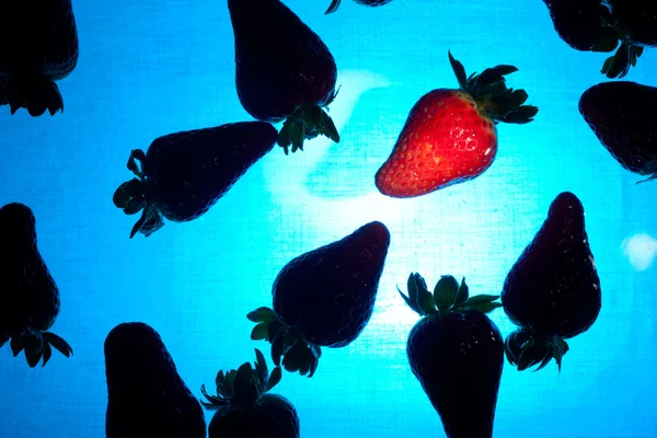 Strawberries in Water — Stock Photo, Image