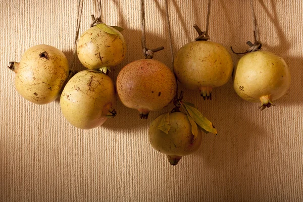 Zavěšení granátová jablka — Stock fotografie