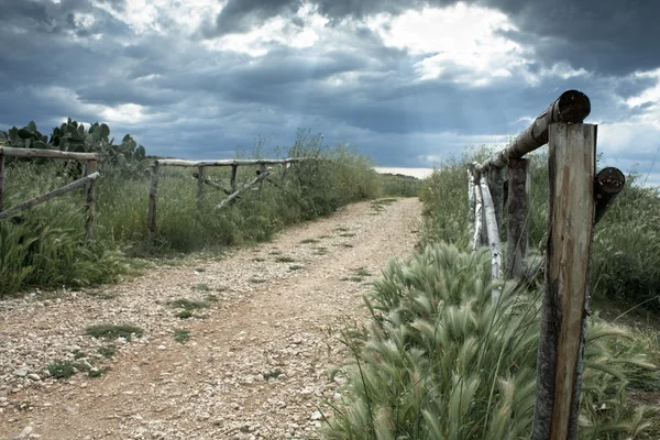 Landsväg med staket — Stockfoto