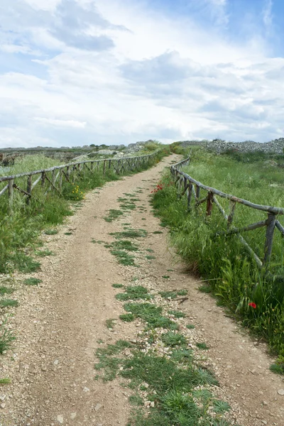 stock image Country Road with Fence