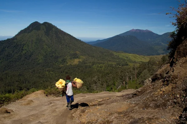 stock image Worker in sulphur mine with sulphur rocks in baskets