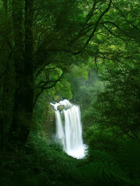 stock image Waterfall in Rainforest, Victoria