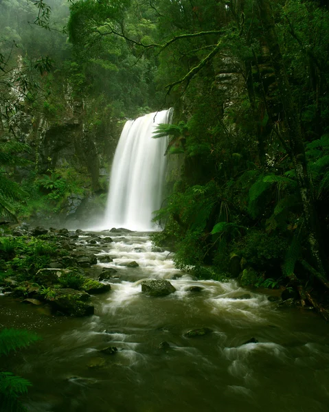 Водоспад у тропічних лісів, Вікторія Ліцензійні Стокові Зображення