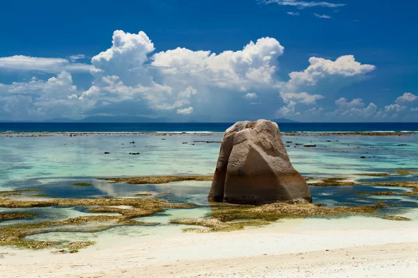 돌과 바다 — 스톡 사진