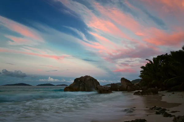 Nori roz în Seychelles — Fotografie, imagine de stoc
