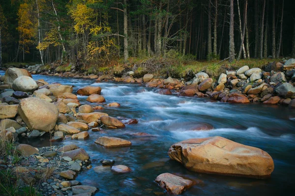Rzeka w lesie — Zdjęcie stockowe