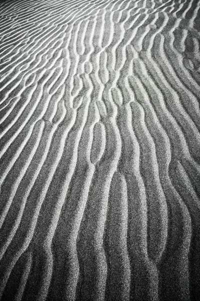 stock image Beautiful black and white image of the desert