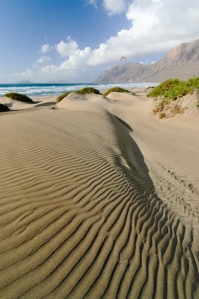 Paesaggio desertico — Foto Stock