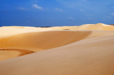 Sand dunes in Brazil clipart