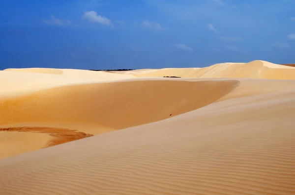 stock image Sand dunes in Brazil