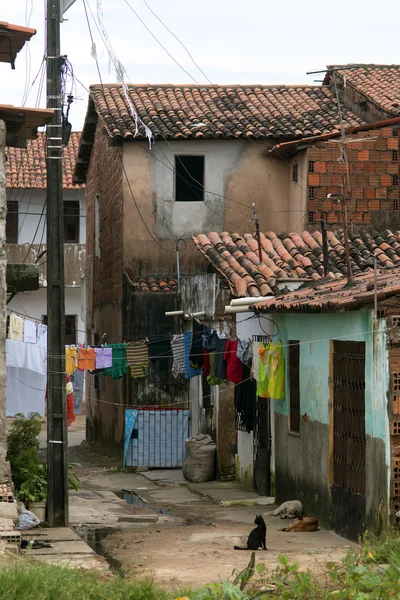 Favela: poverty and neglect — Stock Photo, Image