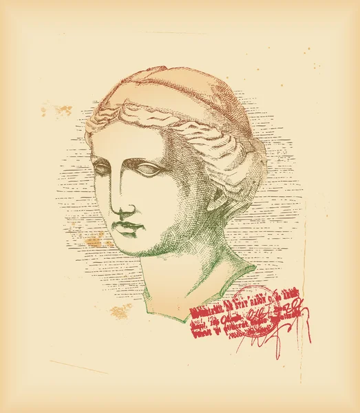 Venus cabeza - dibujo — Archivo Imágenes Vectoriales