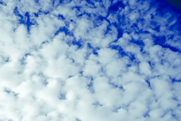 Magisk blå himmel . – stockfoto