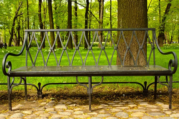 庭の彫刻が施された鉄のベンチ. — ストック写真