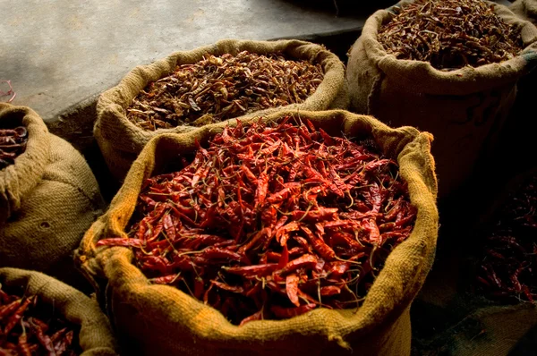 Dried chilli peppers in sacs — Stock Photo, Image