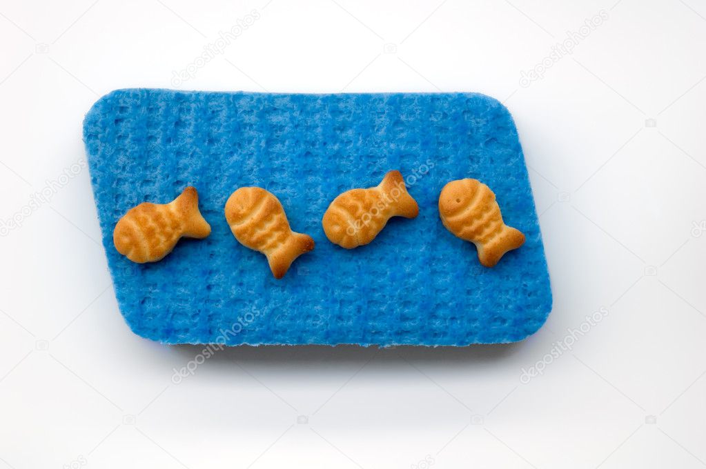 Fish crackers on blue sponge
