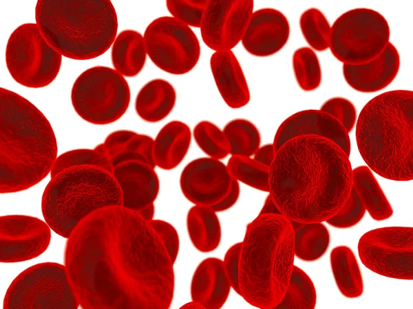 Cellule del sangue — Foto Stock
