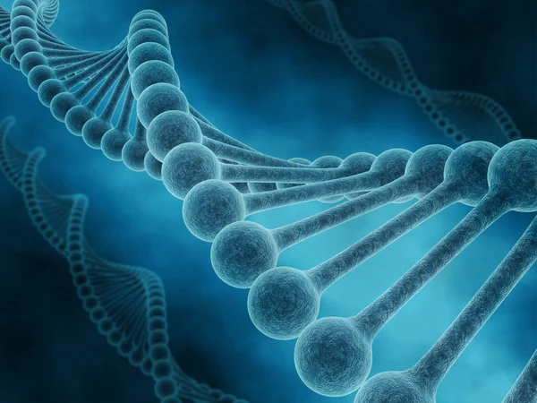 DNA iplik — Stok fotoğraf