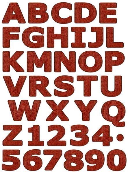 Leather font — Stock Photo, Image