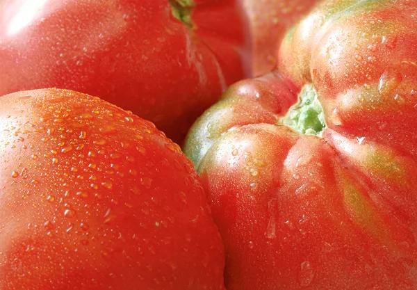 Big ripe tomato — Stock Photo, Image