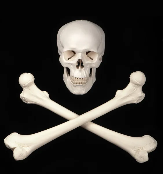 骷髅和交叉骨 — 图库照片