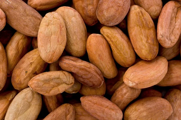 stock image Raw Cacao Beans (Theobroma cacao)