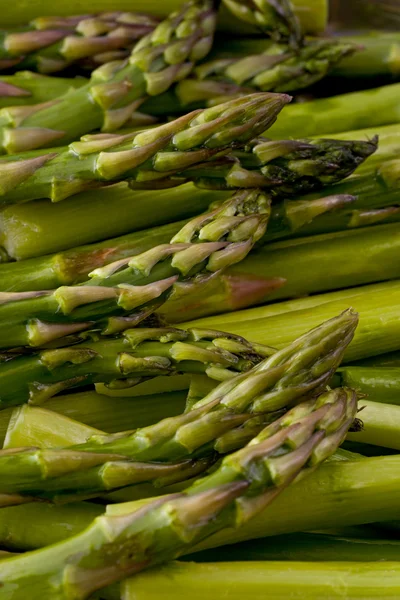 Stock image Green Asparagus (Asparagus officinalis)