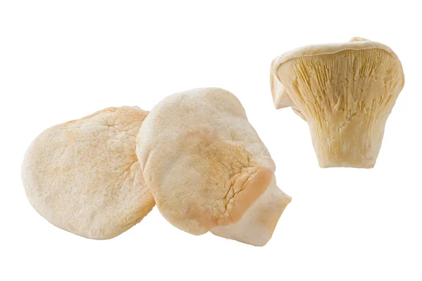 Bai-Ling Mushrooms — Stock Photo, Image