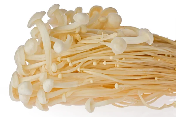 Enoki Mushrooms (Flammulina velutipes) — Stock Photo, Image