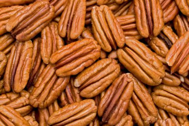 Shelled Pecans (Carya illinoinensis) clipart