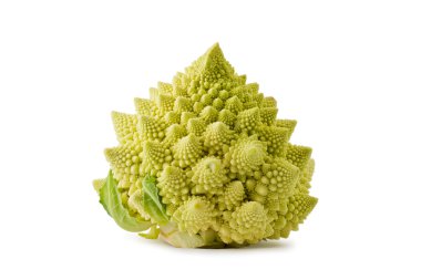 Romanesco brokoli (Brassica oleracea)