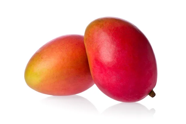 Two Mangos — Stock Photo, Image